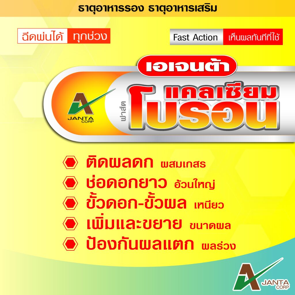 My Image 33