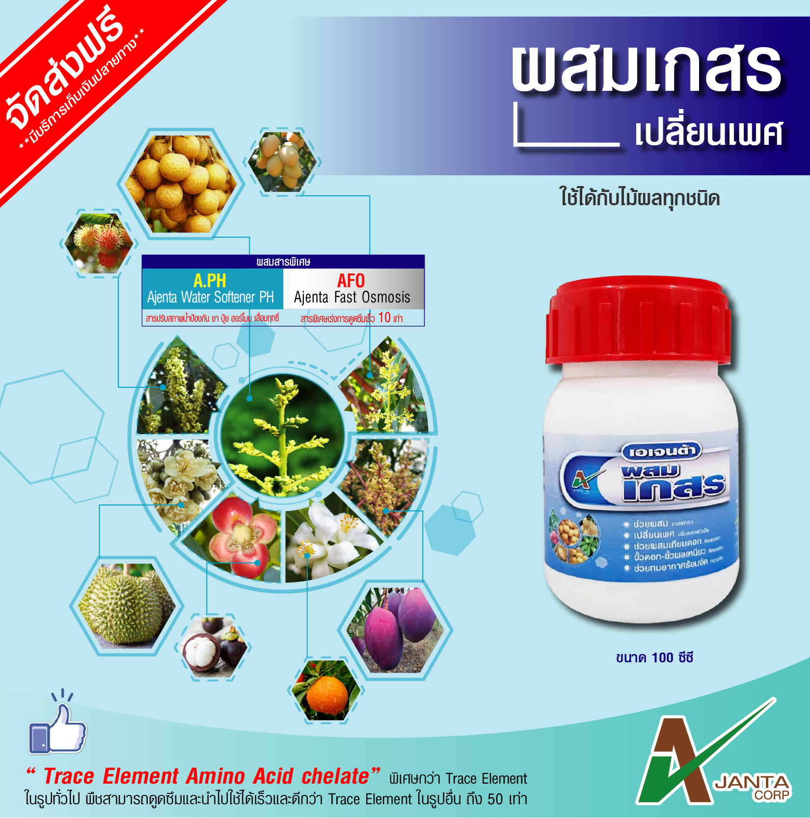 ผสมเกสร