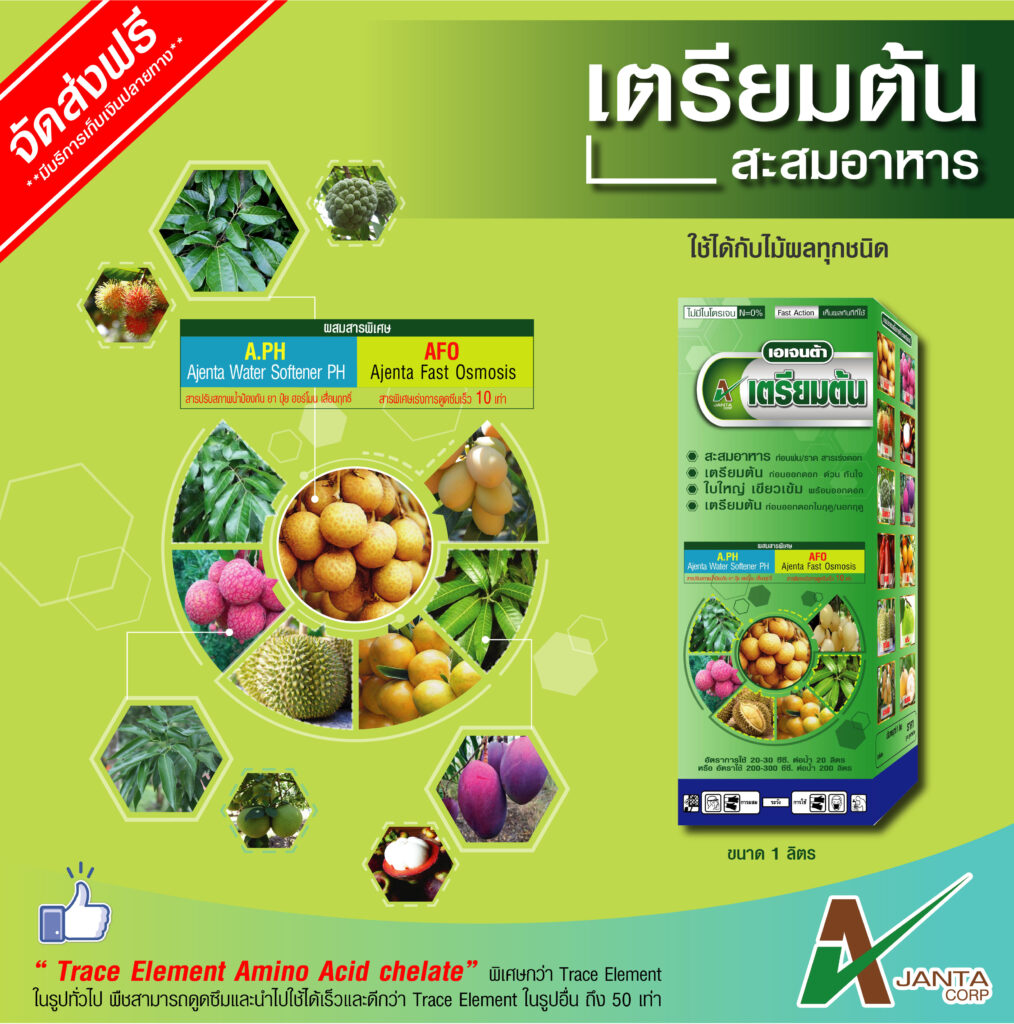 เตรียมต้น