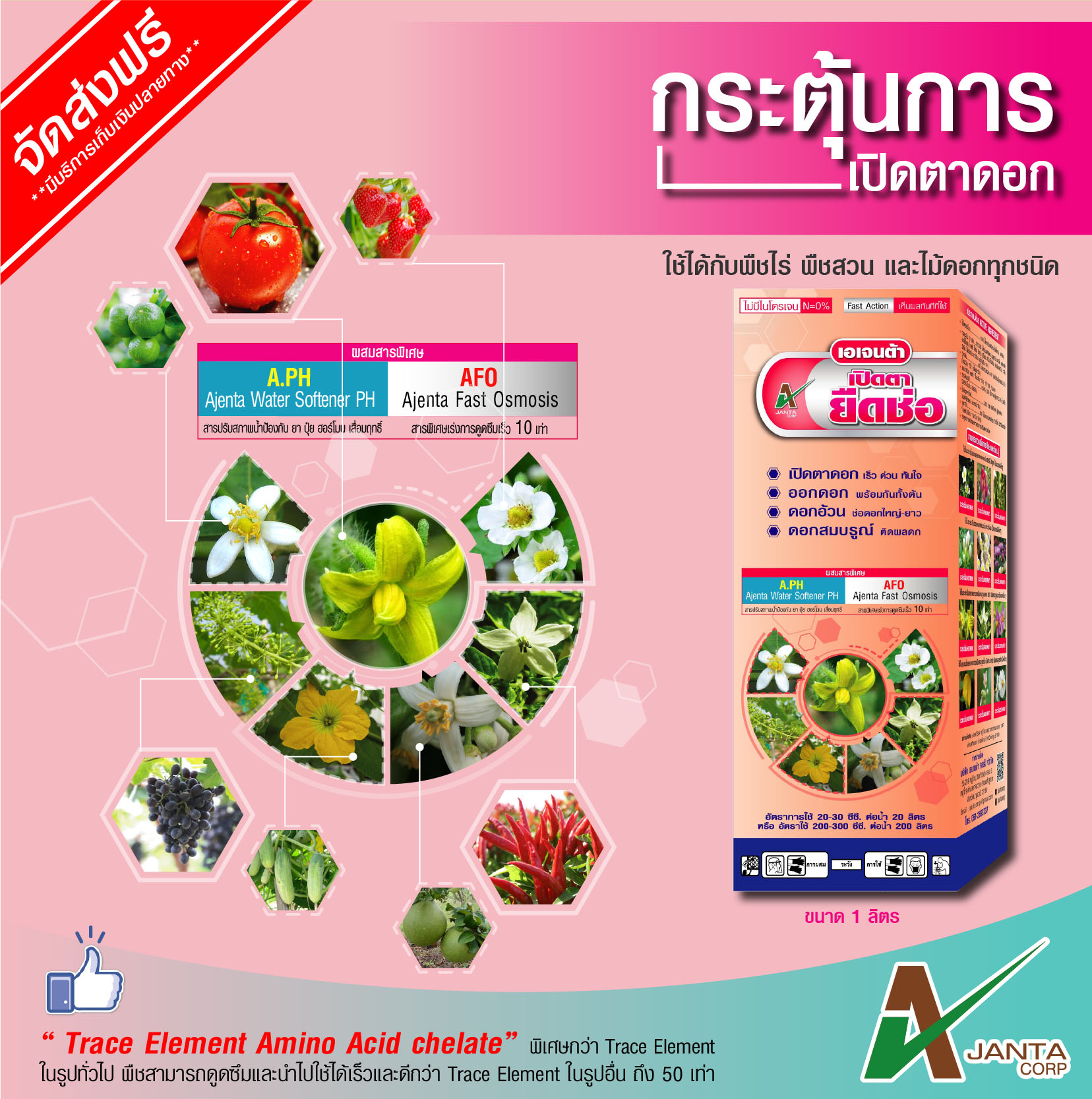 Artwork เปิดตาดอก2-1