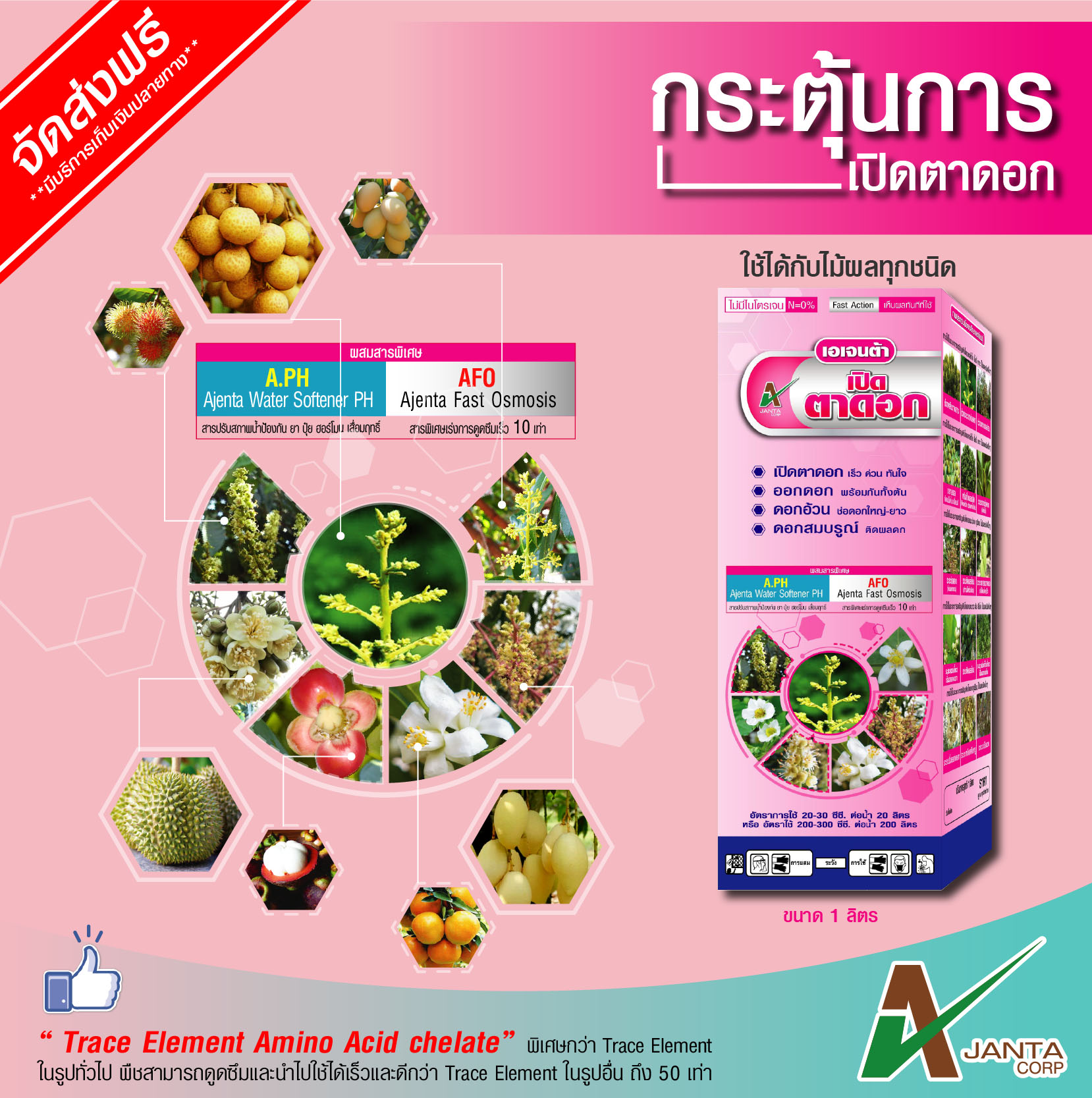 เปิดตายืดช่อ
