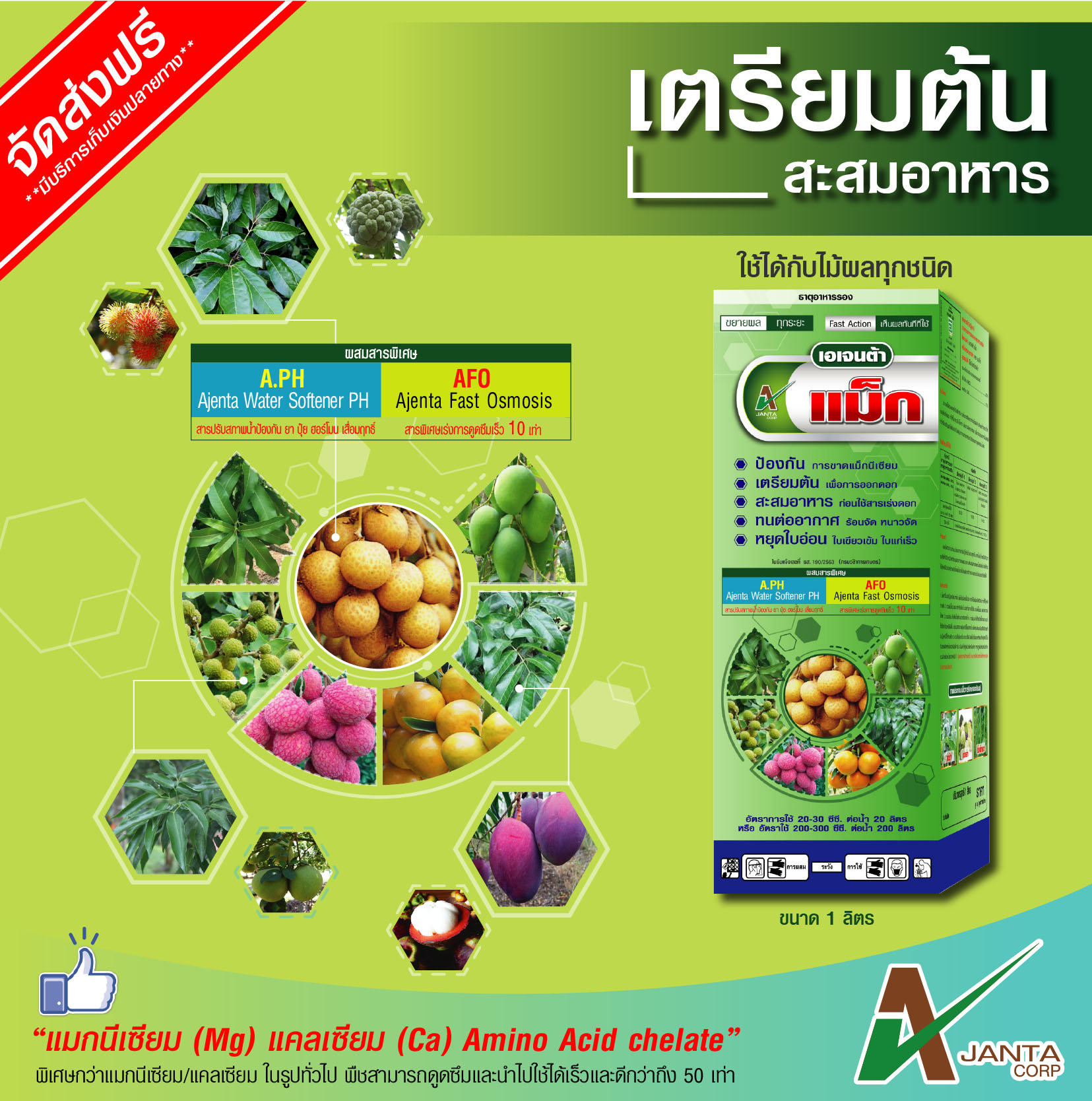 My Image 12