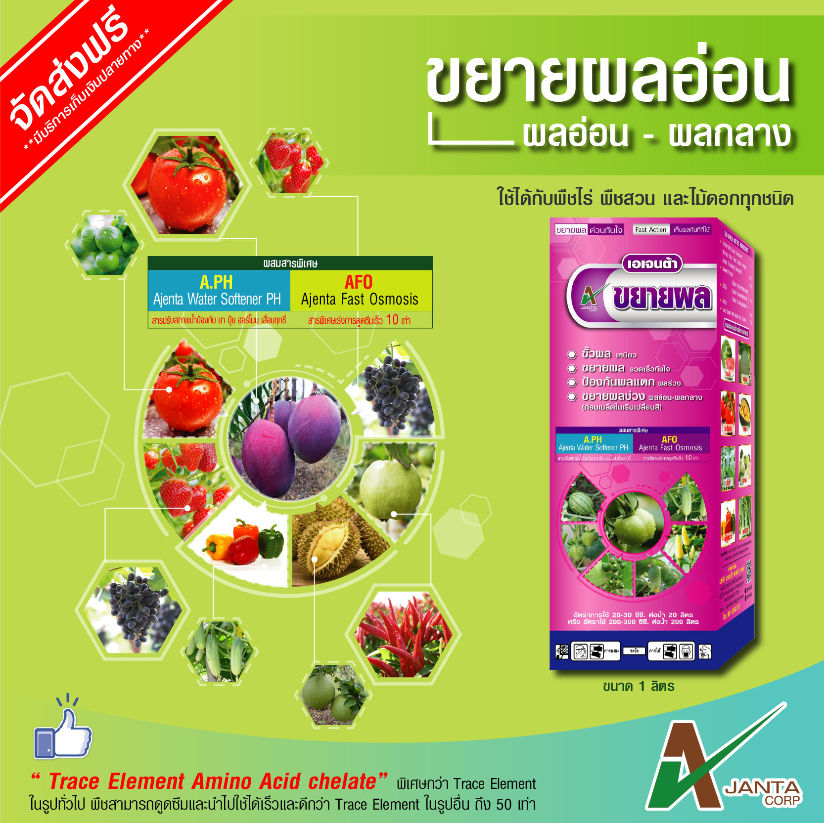 Artwork ขยายผล2-1