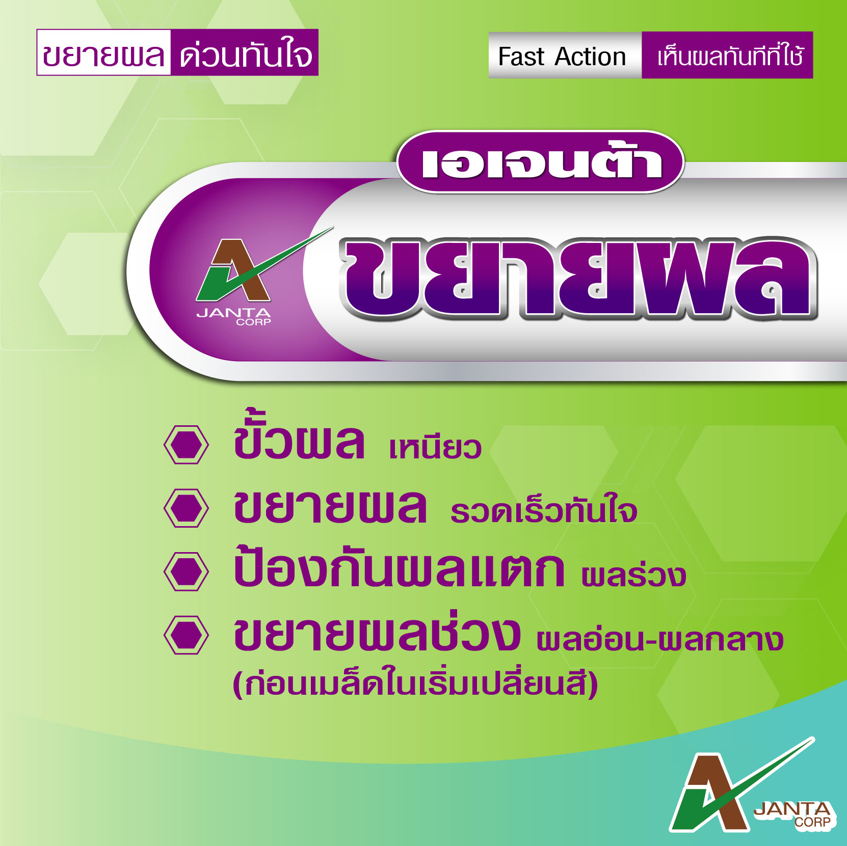 Artwork ขยายผล2-8