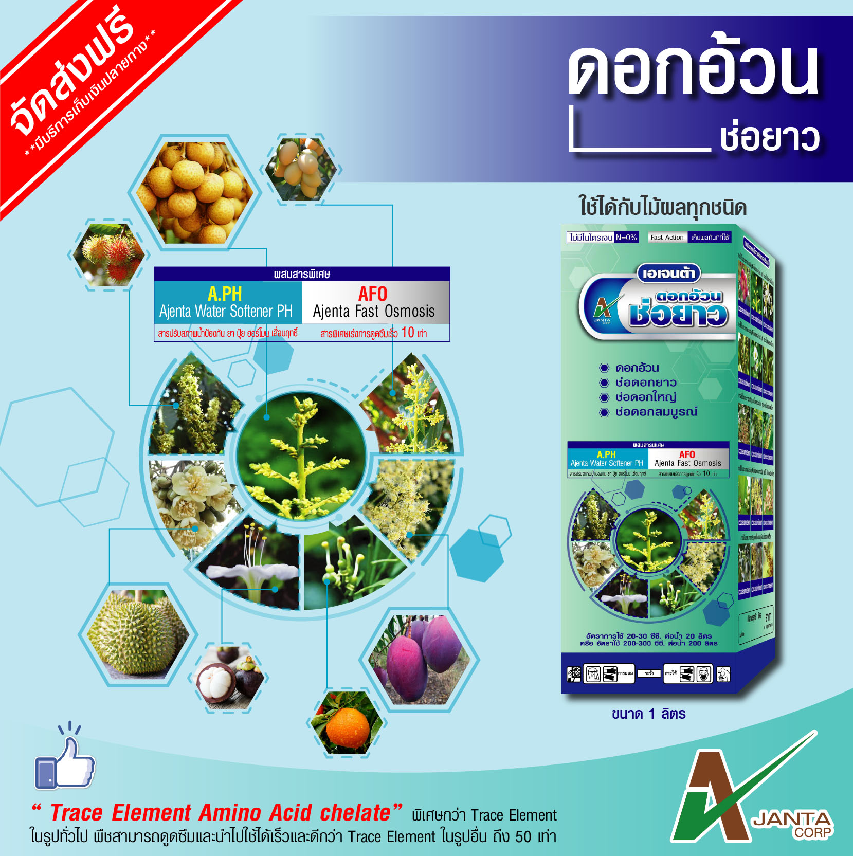 ดอกอ้วนช่อยาว