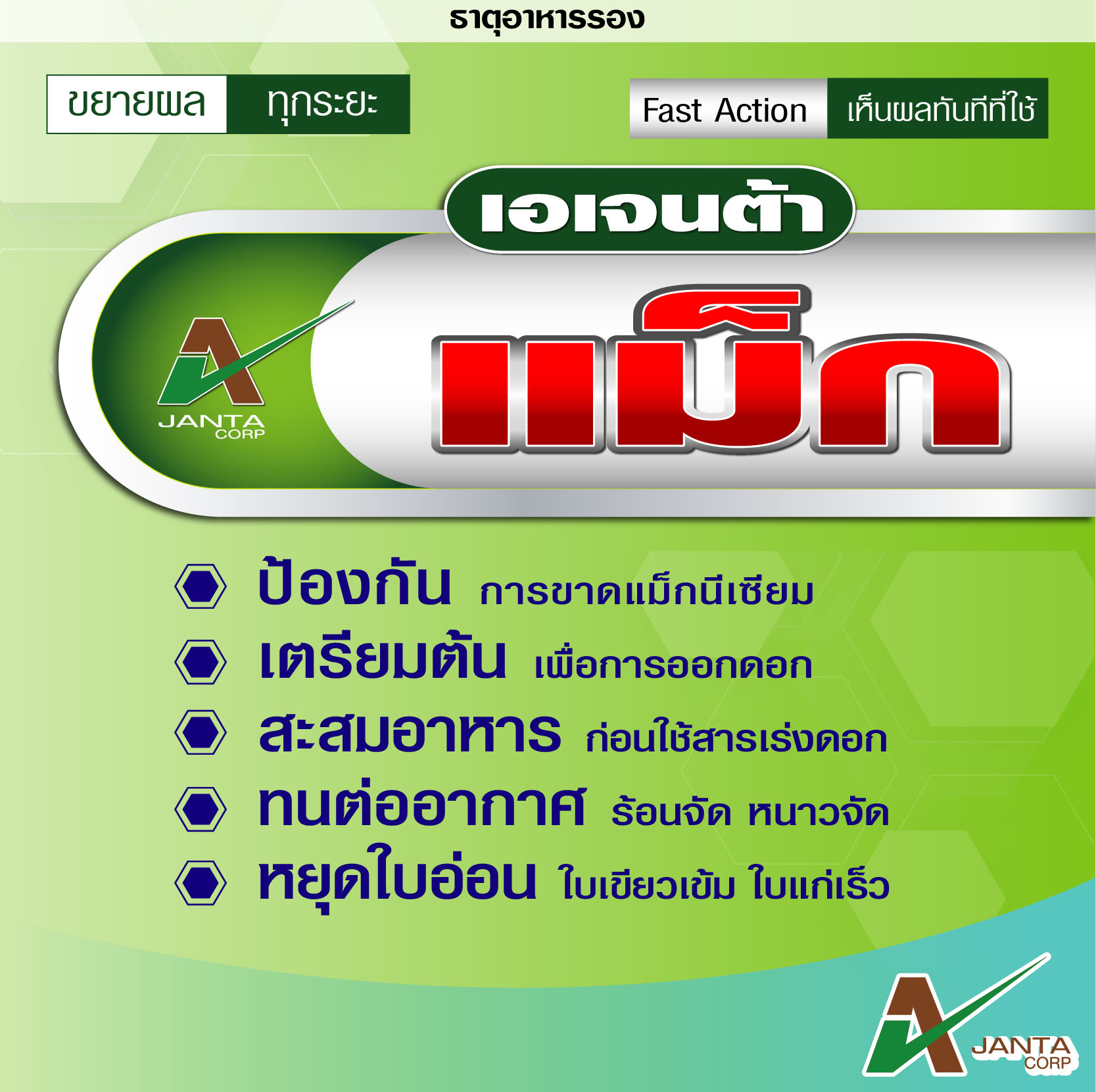 Artwork แม็ก8