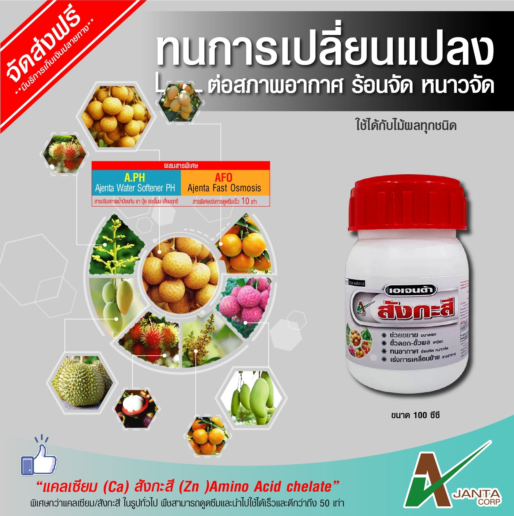 สังกะสี