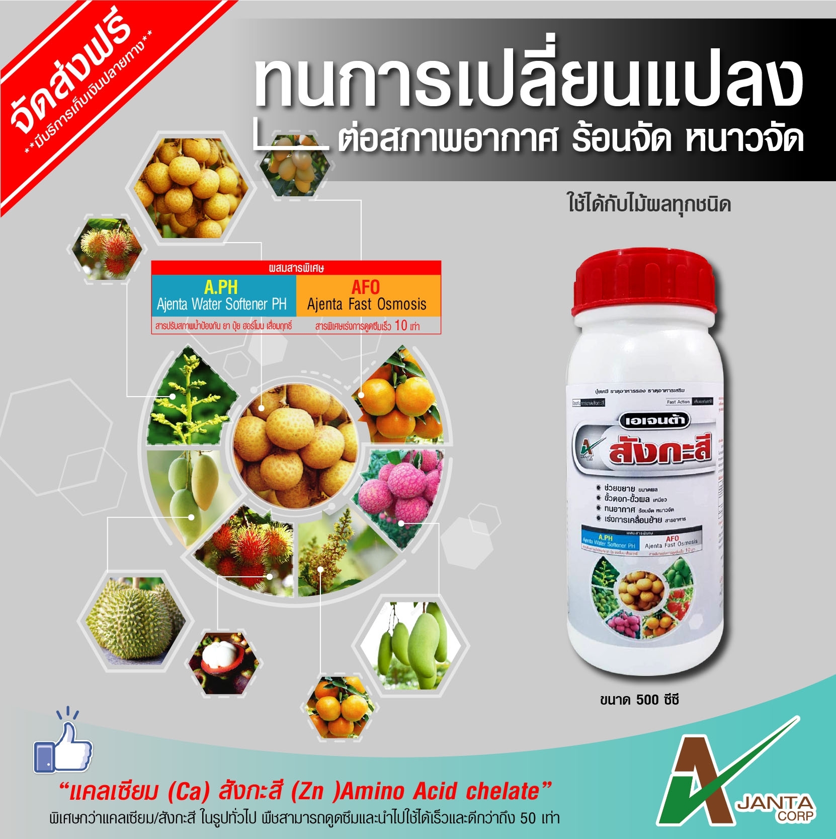 สังกะสี