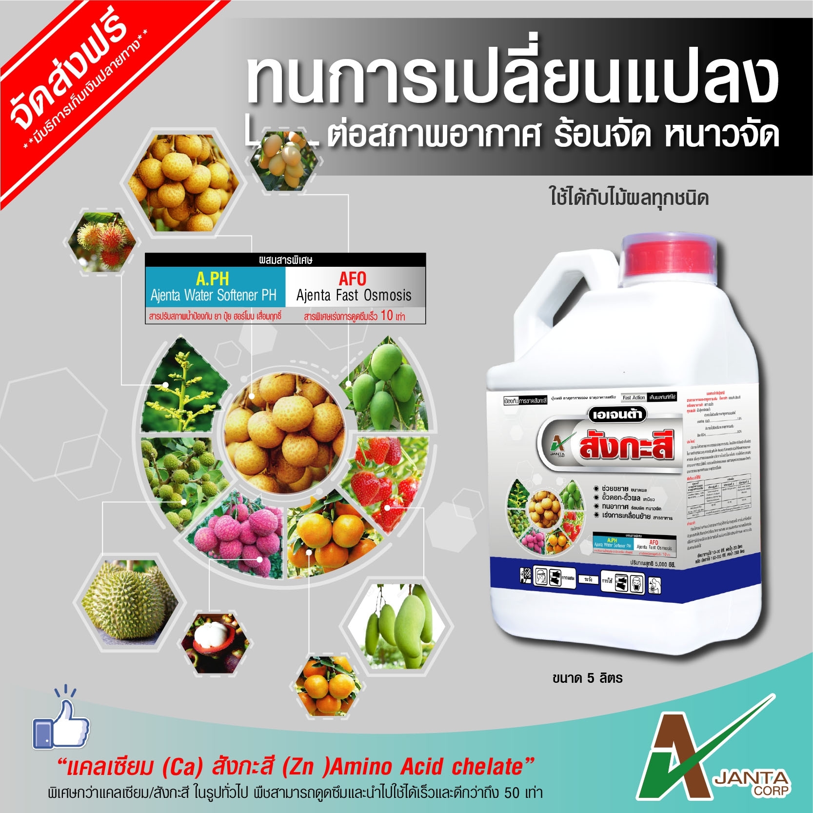 สังกะสี