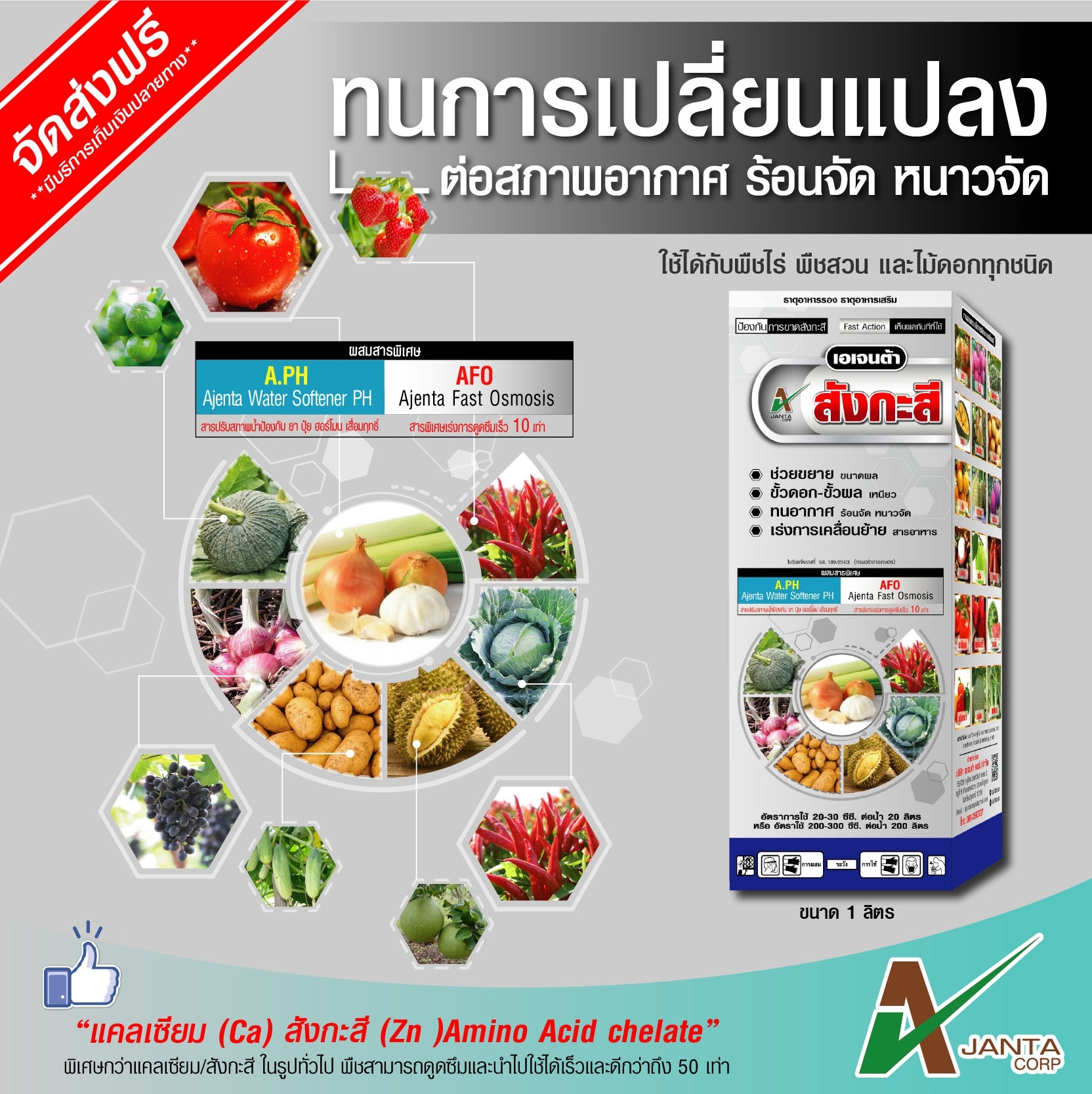 สังกะสี