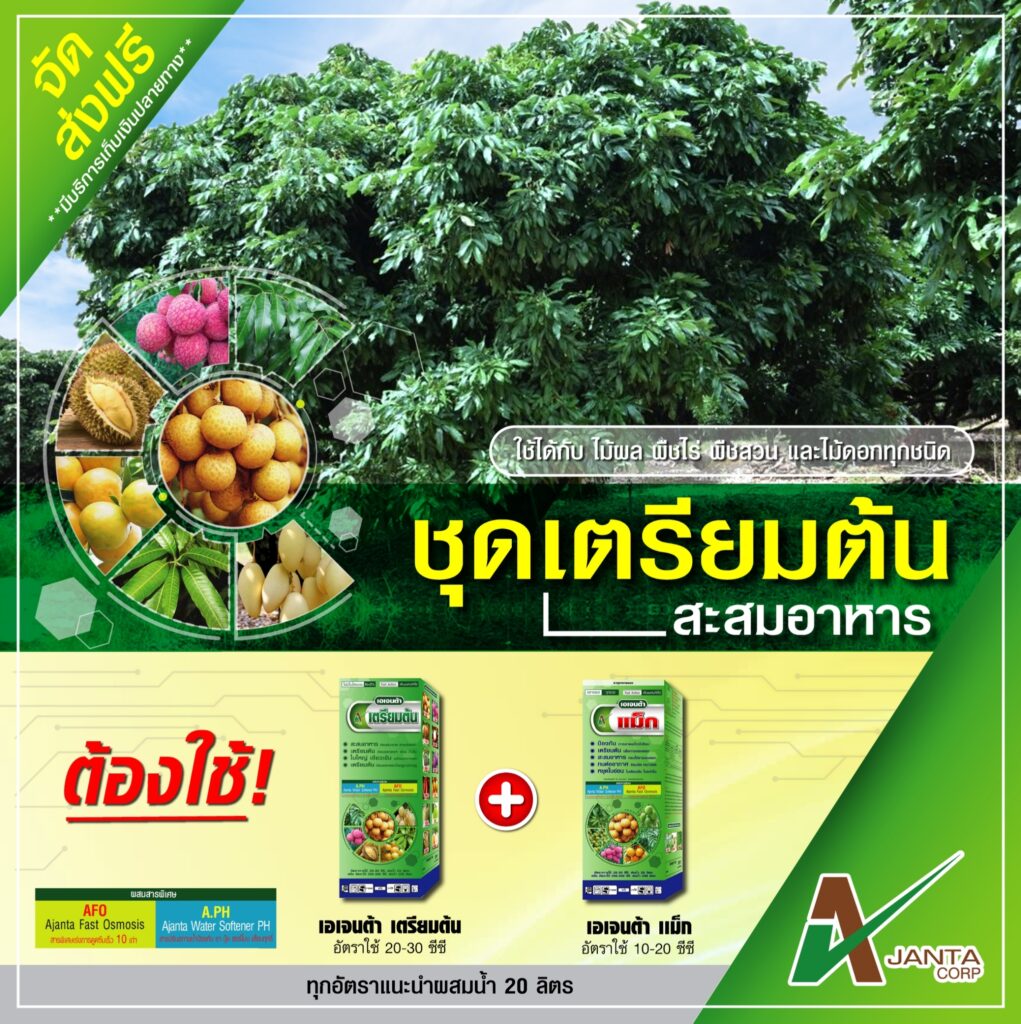 เตรียมต้น