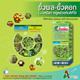 ขั้วเหนียว