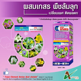 ผสมเกสรล้มลุก ผสมเทียม ผสมเกสร