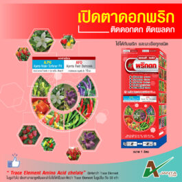 พริกดก มะเขือดก