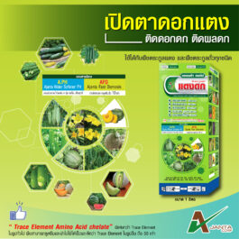 แตงดก ถั่วดก